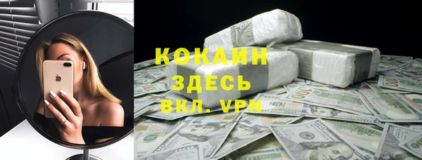 гашик Гусь-Хрустальный