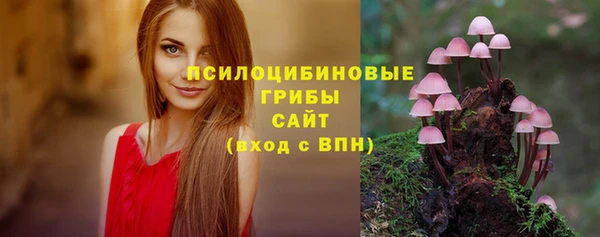 мяу мяу кристалл Горняк