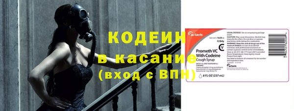 гашик Гусь-Хрустальный