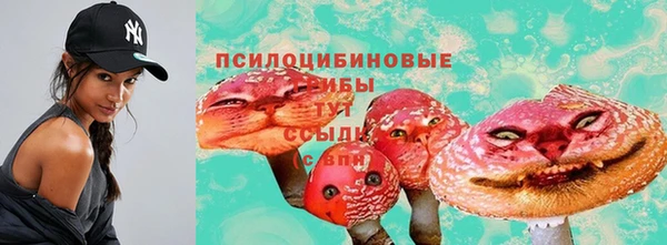 трава Горно-Алтайск