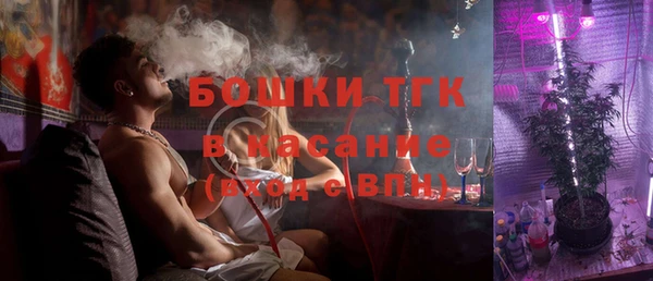 гашик Гусь-Хрустальный