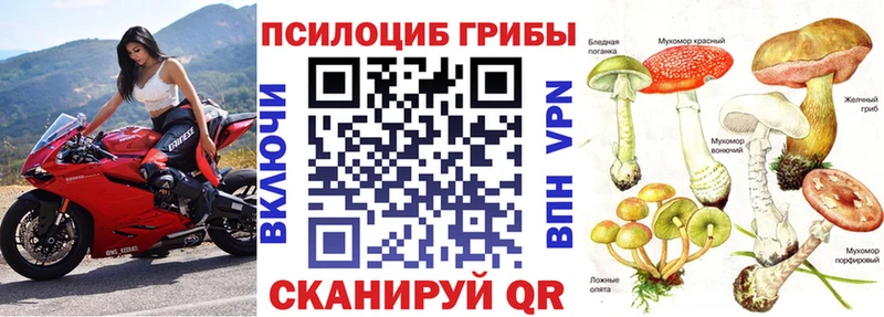 Галлюциногенные грибы Psilocybine cubensis  Дубовка 