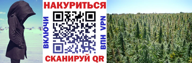 Шишки марихуана LSD WEED  Дубовка 